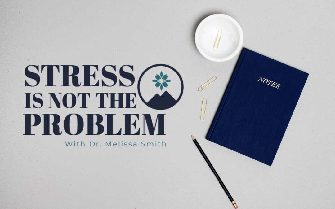 Episode 141: Stress is Not the Problem Course Launch
